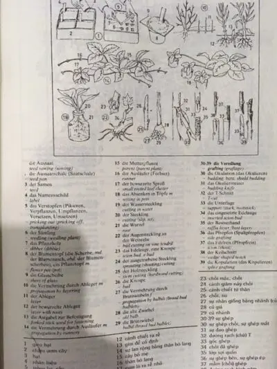 File Sách Từ điển hình ảnh Oxford Duden Pictorial – Anh–Nhật–Việt & Anh–Đức–Việt [PDF] - hình 3